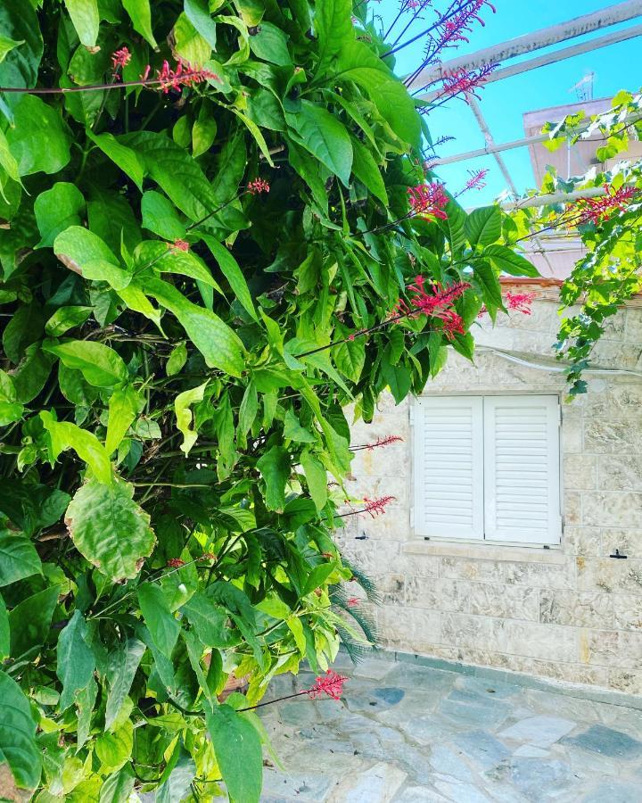 Little Cottage Atena Exterior foto